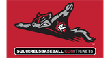 Sponsor logo