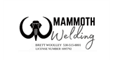 Sponsor logo