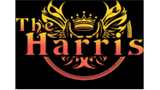 Sponsor logo