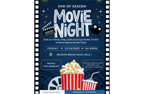 Brazoria Little League hero