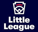 West Hartford Little League Baseball hero