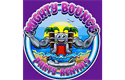 Sponsor logo