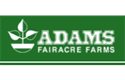 Sponsor logo