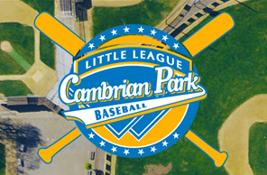 Cambrian Park Little League hero