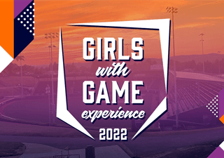 Nyack Valley Cottage Congers Little League Baseball hero