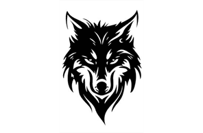 Csp Little League hero