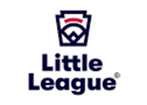 Medina Valley Youth Baseball Assoc Little League hero