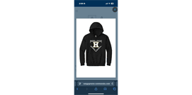 Hughesville Little League hero