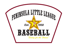 Peninsula Little League hero