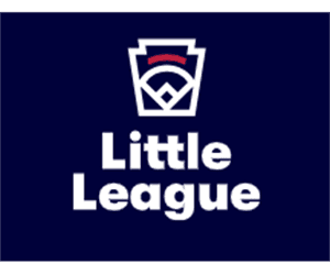 Rancho De Oro Little League hero