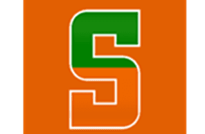 Summerlin South Little League hero